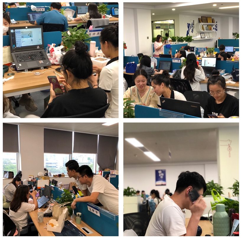 3118云顶集团·(中国区)官方网站